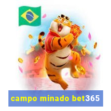 campo minado bet365