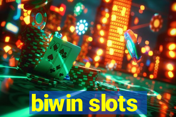 biwin slots