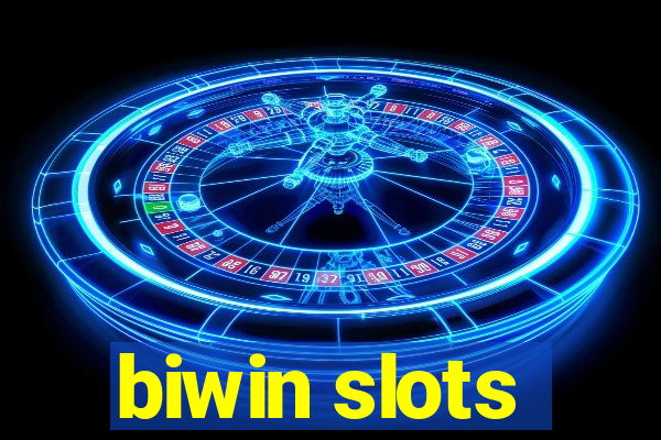 biwin slots