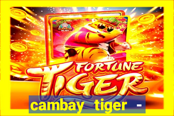 cambay tiger - seafood & meat