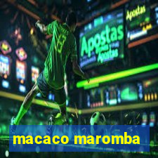 macaco maromba