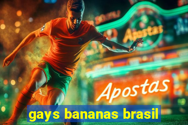 gays bananas brasil