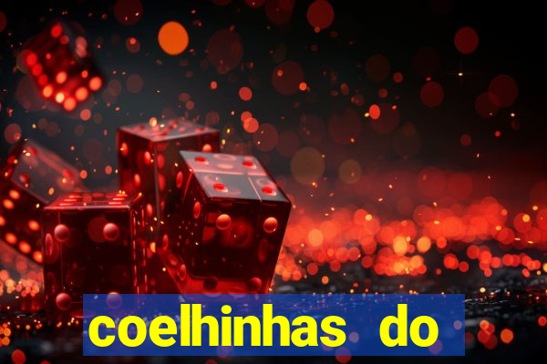 coelhinhas do brasil acompanhantes