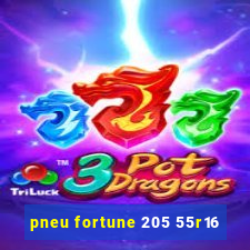 pneu fortune 205 55r16