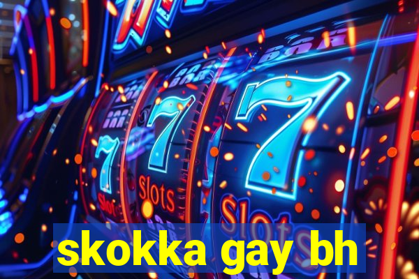 skokka gay bh