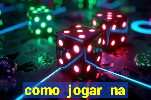 como jogar na lotinha do jogo do bicho