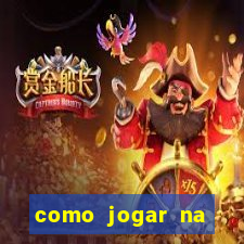 como jogar na lotinha do jogo do bicho