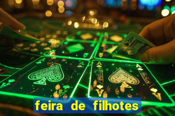 feira de filhotes porto alegre