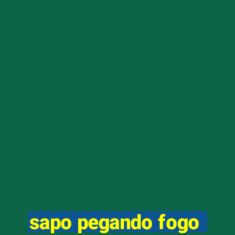 sapo pegando fogo