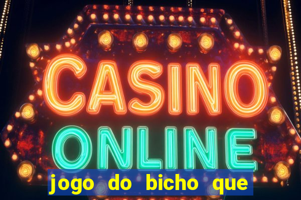 jogo do bicho que da dinheiro