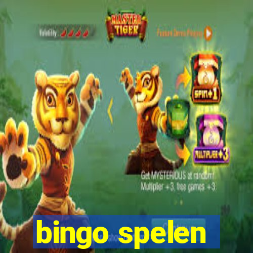 bingo spelen