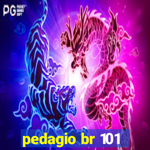 pedagio br 101