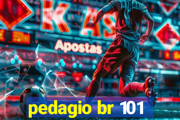 pedagio br 101