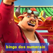 bingo dos numerais