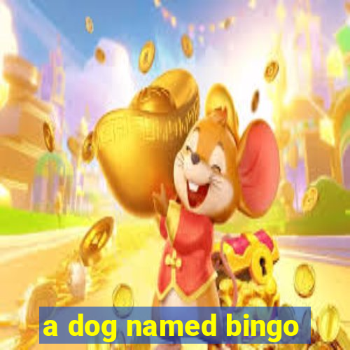 a dog named bingo