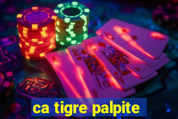 ca tigre palpite