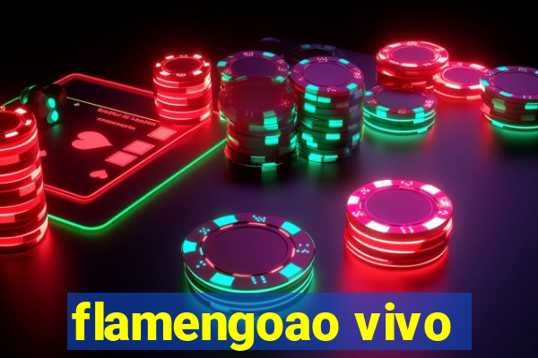 flamengoao vivo