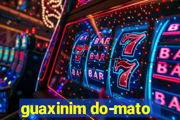 guaxinim do-mato