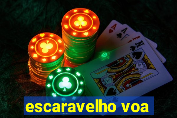 escaravelho voa