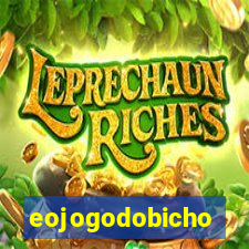 eojogodobicho