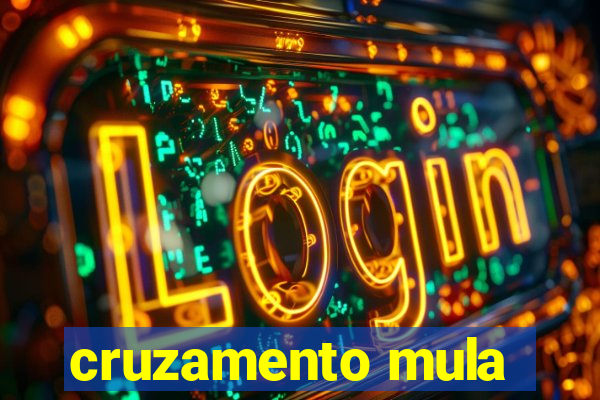 cruzamento mula