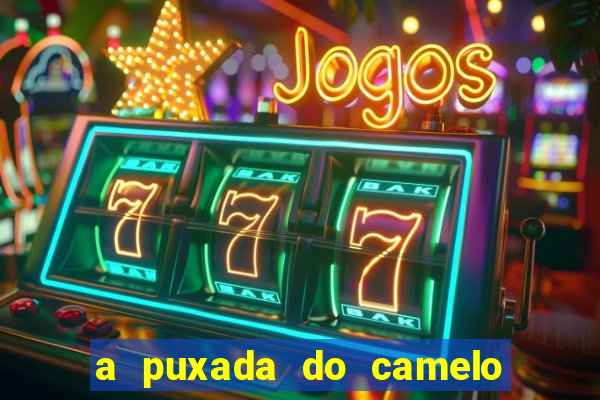 a puxada do camelo no jogo do bicho