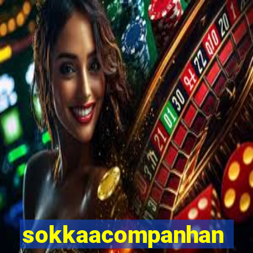 sokkaacompanhantes