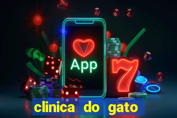 clinica do gato porto alegre