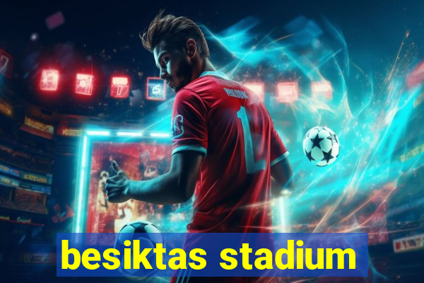 besiktas stadium