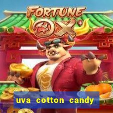 uva cotton candy tem caroço