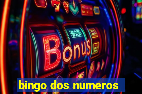 bingo dos numeros