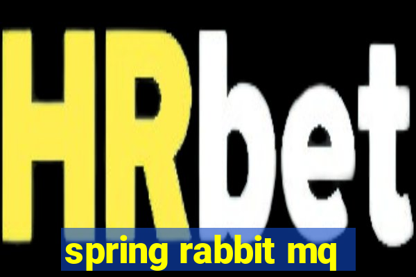 spring rabbit mq