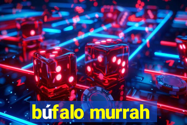 búfalo murrah