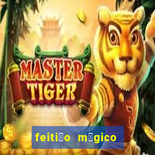 feiti莽o m谩gico manga pt br