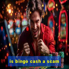 is bingo cash a scam