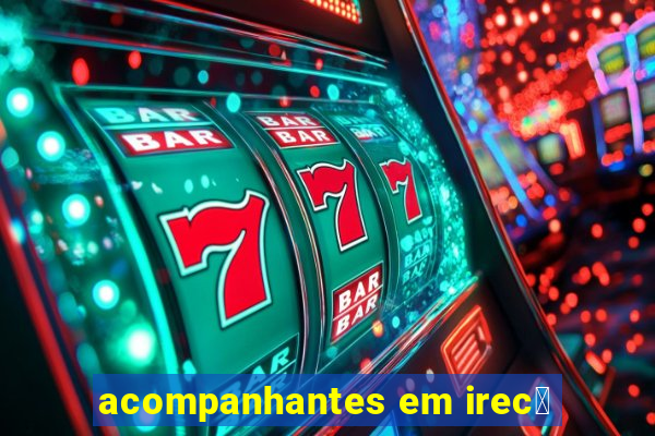 acompanhantes em irec锚