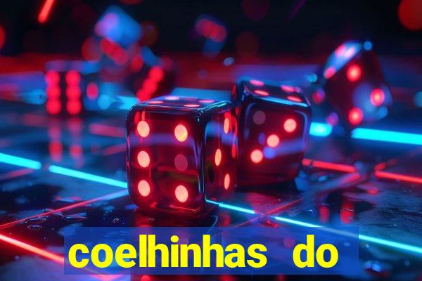 coelhinhas do brasil recife