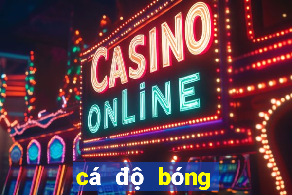 cá độ bóng đá online