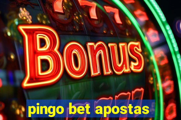 pingo bet apostas