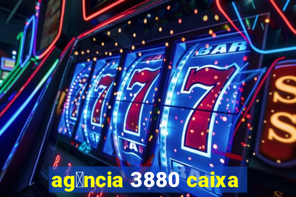 ag锚ncia 3880 caixa