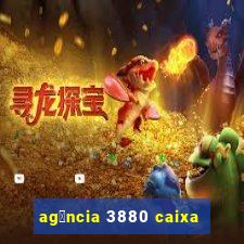 ag锚ncia 3880 caixa