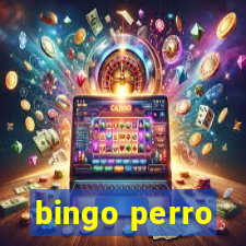 bingo perro