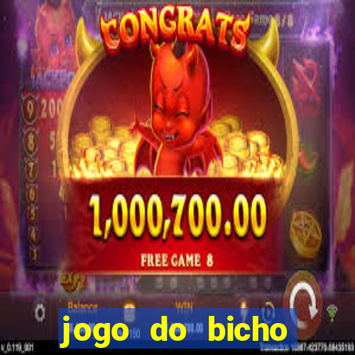 jogo do bicho crash bingo