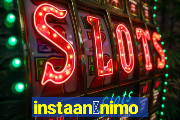 instaan么nimo