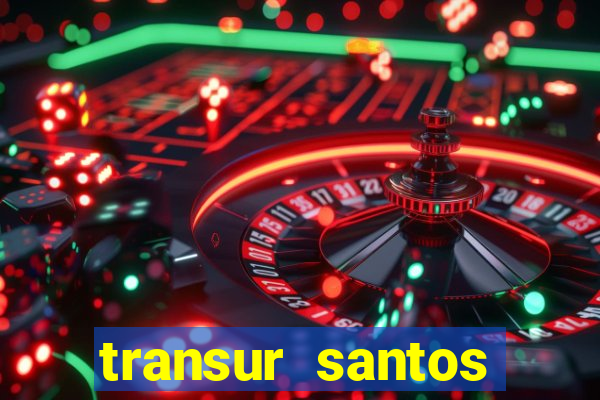 transur santos dumont x juiz de fora 2024