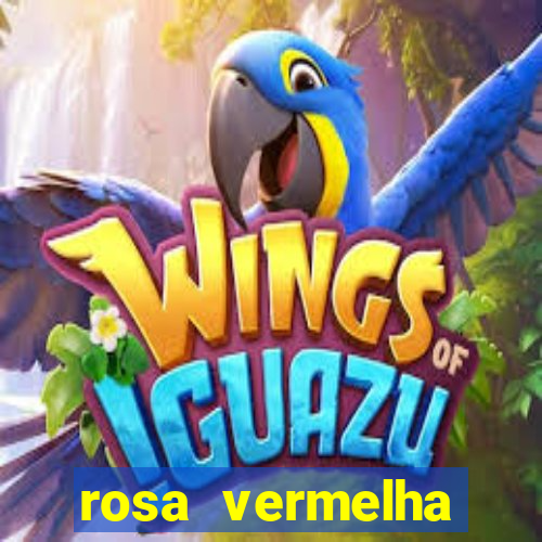 rosa vermelha (letra e cifra)