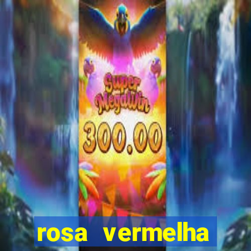 rosa vermelha (letra e cifra)