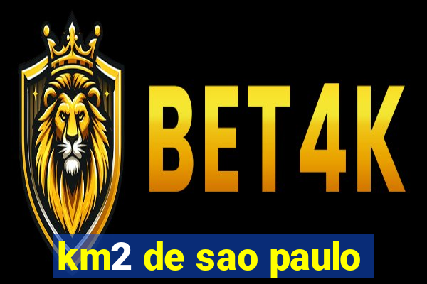 km2 de sao paulo