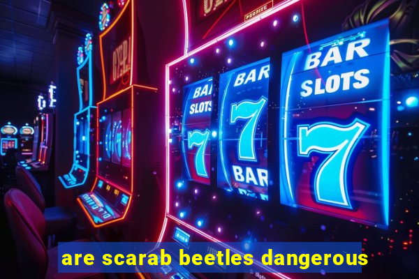 are scarab beetles dangerous