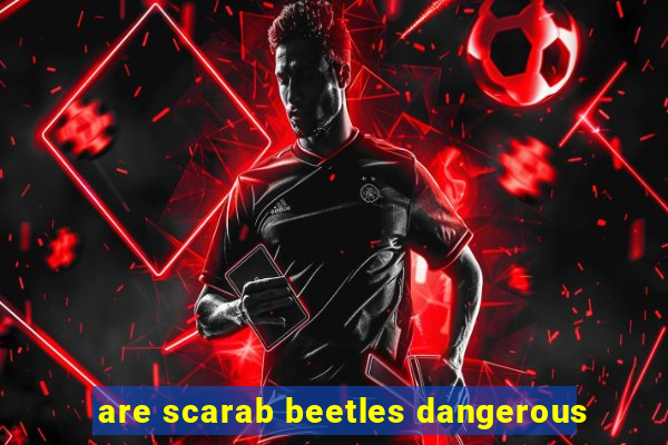 are scarab beetles dangerous